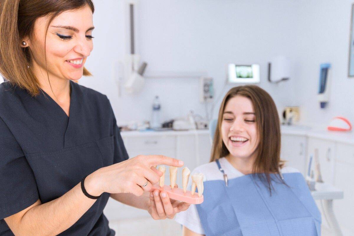 Dentist explaining dental treatment using tooth model to patient